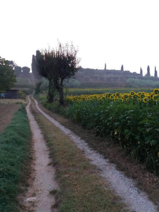 Podere Gian Battaglia Fucecchio Esterno foto