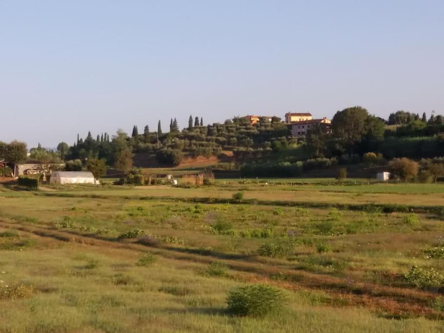 Podere Gian Battaglia Fucecchio Esterno foto