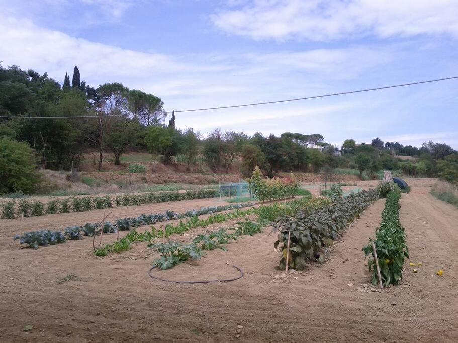 Podere Gian Battaglia Fucecchio Esterno foto