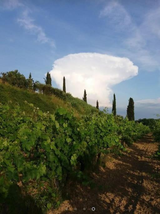 Podere Gian Battaglia Fucecchio Esterno foto