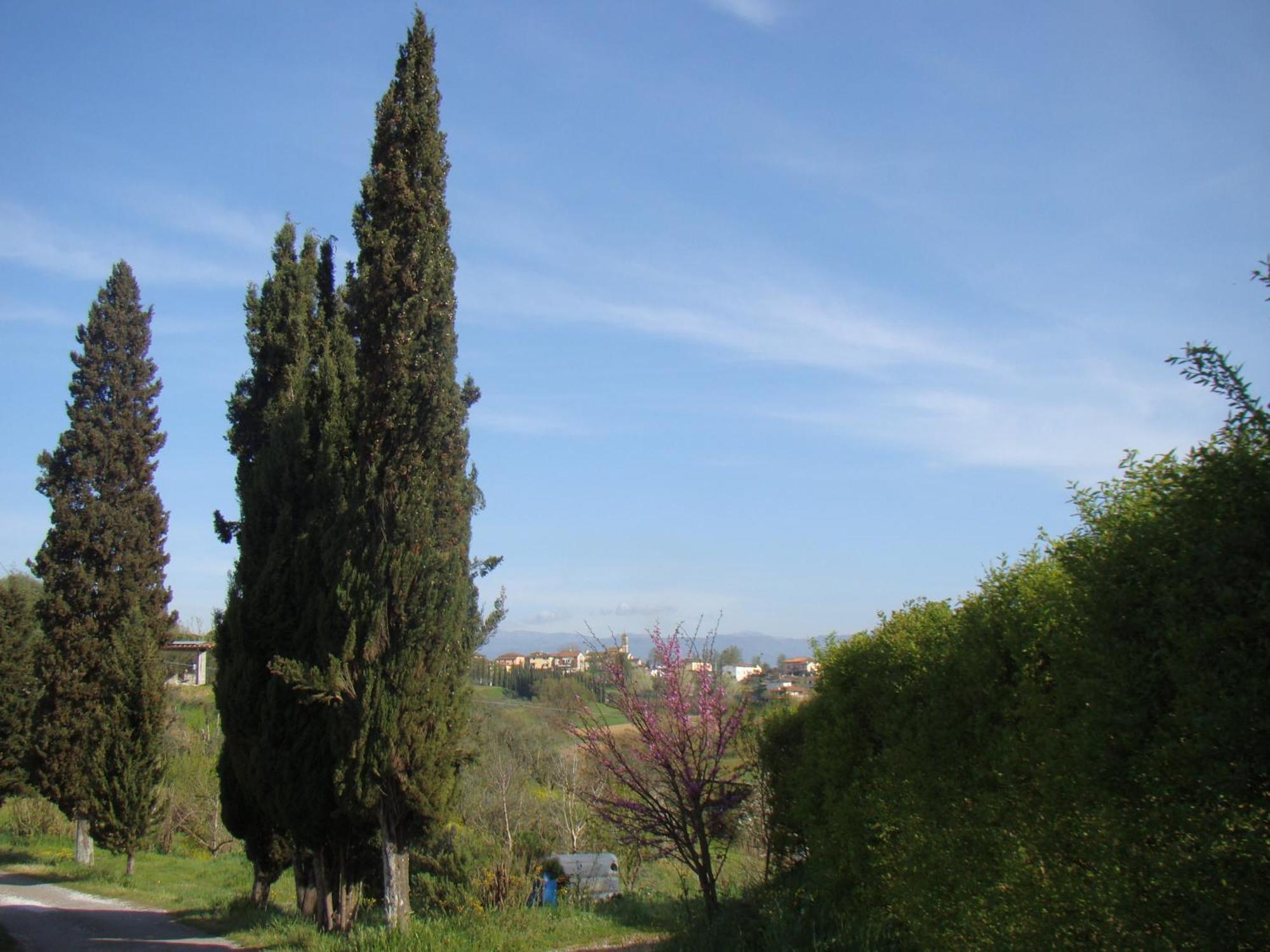Podere Gian Battaglia Fucecchio Esterno foto