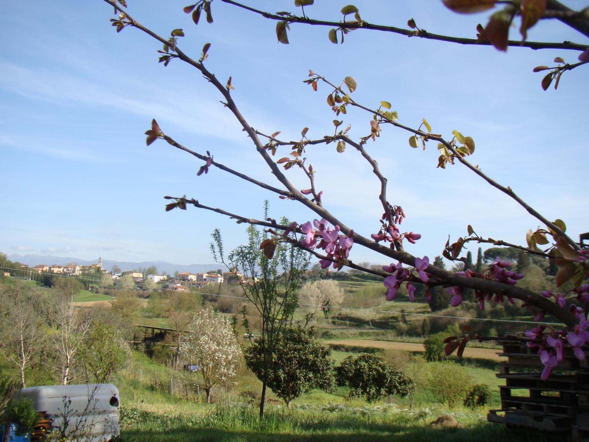 Podere Gian Battaglia Fucecchio Esterno foto