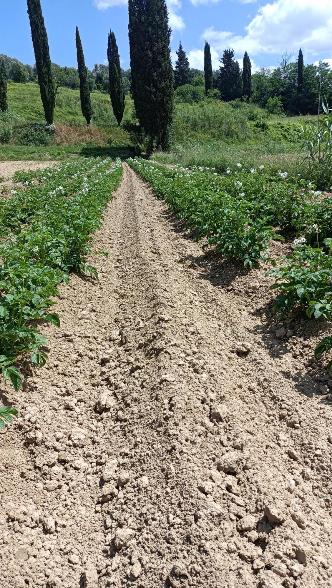 Podere Gian Battaglia Fucecchio Esterno foto