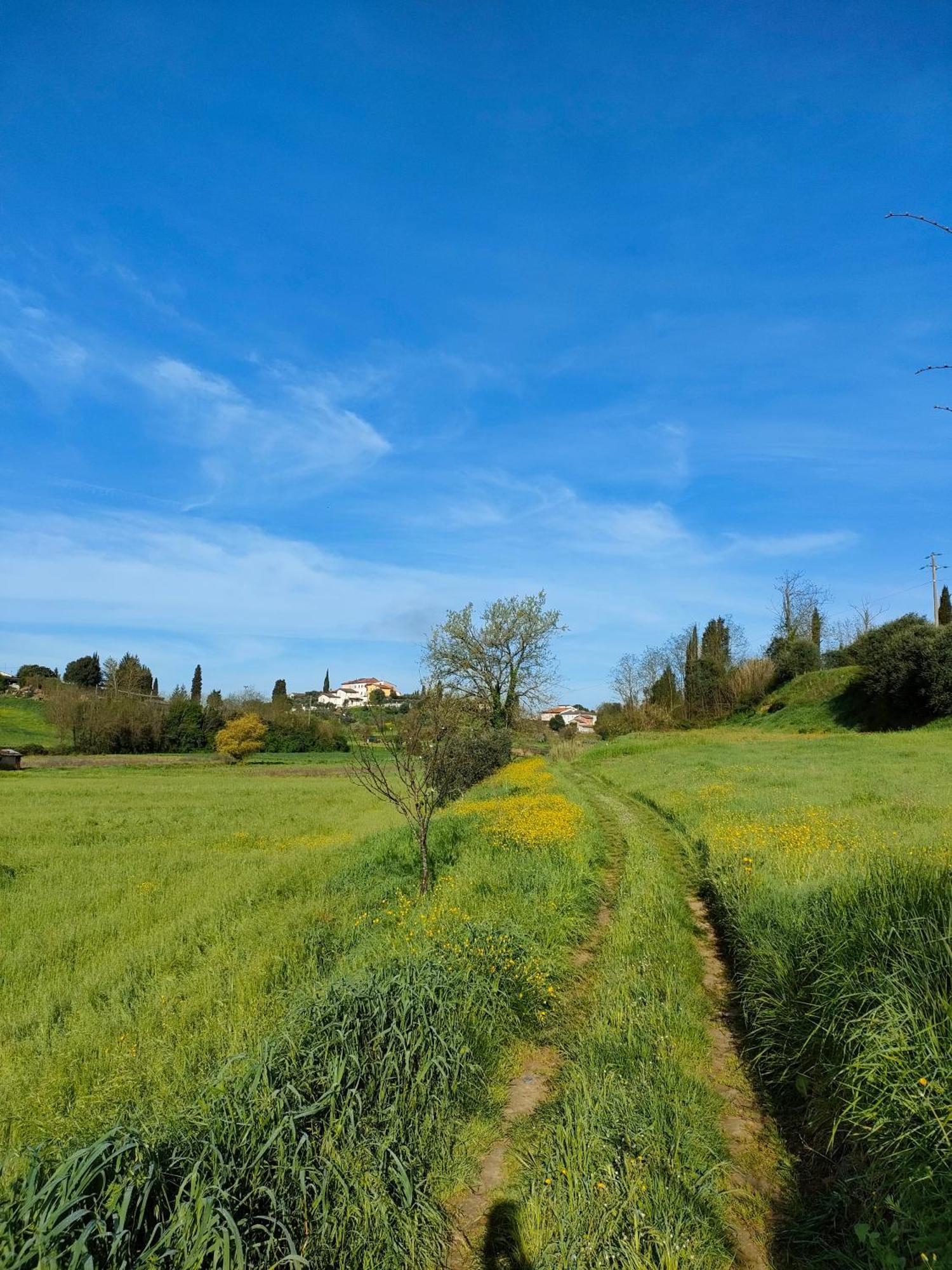 Podere Gian Battaglia Fucecchio Esterno foto